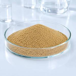 Suministro de Fábrica: Polvo Orgánico de Acacia Arábica, Extracto Herbal Natural Premium para Aplicaciones de Cuidado Personal, Fabricante OEM - Product Image 4