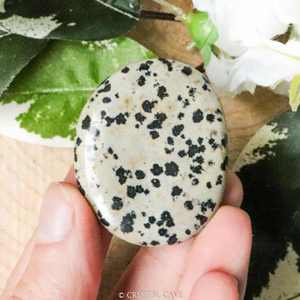 Piedra de Jaspe Dálmata Natural, Ovalada y Lisa, Cristal Curativo, Piedra de Palma, Piedra de Bolsillo para el Miedo, para Feng Shui, Decoración del Hogar, Venta al por Mayor - Product Image 3