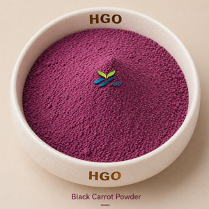 Hgo ผงแครอทดำธรรมชาติบริสุทธิ์ (เกรดอาหาร) ผงผัก (ผลไม้หรือผงผัก) - Product Image 1