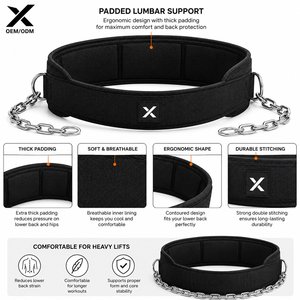 Custom Heavy Duty Nylon Dip <b>Belt</b> with Steel <b>Chain</b> Weight Lifting <b>Belt</b> Adjustable Gym Pull Up <b>Belt</b> OEM ODM Pakistan - Product Image 2