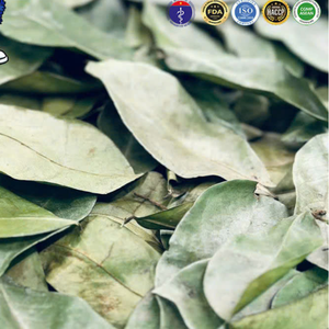 Hojas de guanábana puras y secas para té de hierbas, origen Vietnam, para envasado ecológico y preparaciones diarias de 99 Gold Data - Product Image 6