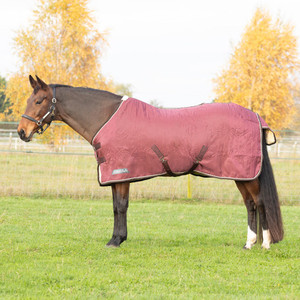 Équipement équestre personnalisé, couverture de cheval en tissu Oxford léger et respirant pour l'été, couverture de luxe pour cheval - Product Image 1