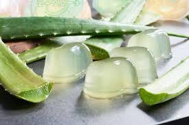 Jalea de Aloe Vera de Alta Calidad – Dulce y Masticable, Refrescante y Natural, Precio al por Mayor // Mr.Tom - Product Image 4