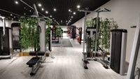 Equipo de gimnasio comercial para fitness y deportes: Máquina de cable para dominadas asistidas, flexiones y remo bajo con asistencia de fuerza.