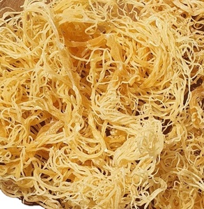 100% naturel algues Seamoss Eucheuma Cottonii avec sel séché mousse de mer de qualité supérieure origine Vietnam - Product Image 1
