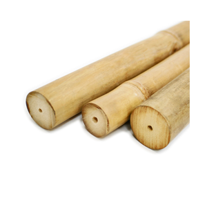เสาไม้ไผ่คุณภาพสูงสำหรับการใช้งานในอาคารและภูมิทัศน์ - Product Image 1