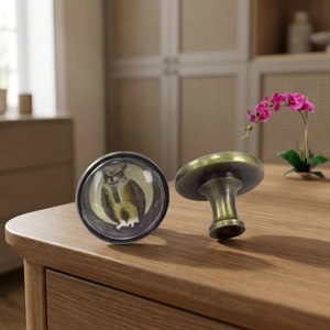<b>Brass</b> Round Furniture <b>Knob</b> with Owl Design for Drawer Cabinet Home Office Use - Product Image 3