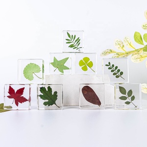 La pianta reale ha conservato i tipi di infiorescenza di modalità di aiuti didattici medici incastonati campione di resina per l'insegnamento della scuola materna - Product Image 2