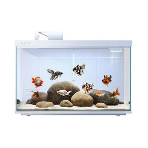 Akıllı Masaüstü Akvaryum Balık Tankı Otomatik Sirkülasyon Filtreli Entegre Ev Tipi Balık Tankı Oturma Odası İçin - Product Image 3