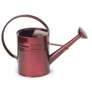 Wholesale Metal Watering Can 1 Gallon Long Spout Garden Pot Vintage Indoor Outdoor Plants <b>Heavy</b> <b>Duty</b> Galvanized Steel Watering - Product Image 1