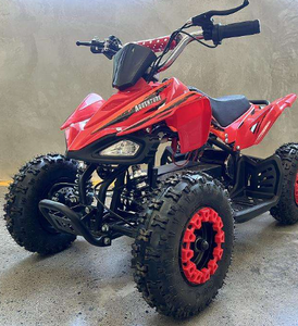 Quad 110cc à essence 2 roues motrices, 49cc, 100cc, 250cc pour adultes et enfants, transmission par arbre, prix de gros, directement de l'usine - Product Image 2