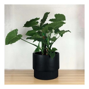 Mini pot de fleurs en liège durable pour une utilisation décorative - Product Image 3