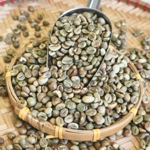 เมล็ดกาแฟโรบัสต้าสีเขียวคุณภาพสูง บริสุทธิ์จากธรรมชาติ สำหรับส่งออกจำนวนมาก ขนาดเมล็ด 16, 18, 20 เกรด A ผลิตในเวียดนาม - Product Image 3