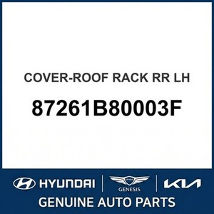 Pièces et accessoires pour voitures et camions Santa Fe, neuves, côté gauche 87261B80003F - Product Image 1