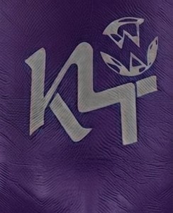 Ceinture de soutien inguinal profilée en néoprène violet pour homme KLTW, respirante, avec logo thermocollé, protection sportive pour la boxe, haute élasticité - Product Image 4
