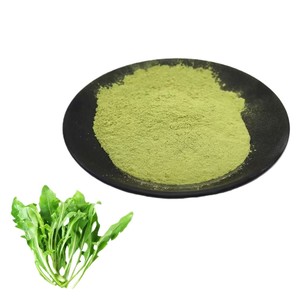 Polvo de Hoja de Rúcula Silvestre 100% Auténtico, Natural, de Grado Alimenticio, Superalimento, Apoya la Pérdida de Peso Saludable - Product Image 1