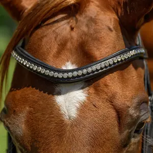 Bridon en cuir véritable de qualité supérieure, équipement d'équitation sur mesure en gros au meilleur prix - Product Image 2