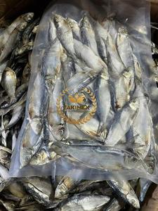Vente en gros de hareng séché sprats sardinelle bon prix anchois avec un excellent goût séché au soleil poisson pour animaux de compagnie du Vietnam - Product Image 3