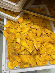 มะม่วงอบแห้ง มะม่วงหวาน ผลไม้อบแห้ง ขนมขบเคี้ยวสำหรับตกแต่งขนมหวานและใช้ในเบเกอรี่ เนื้อนุ่มสไตล์ทรอปิคอล บรรจุภัณฑ์ขนาดใหญ่ ผลิตจากเวียดนาม - Product Image 6