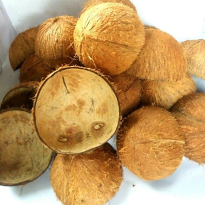 Cáscaras de Coco Crudas, Secas y Trituradas |   Materia prima multiusos de bajo contenido de cenizas de grado A de la India para carbonización y energía - Product Image 1