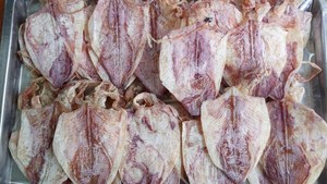 Mejor Precio Calamar Liofilizado para Servicios de Alimentación, Salada Salteada, Sopa, Papilla y Aperitivos Fritos, Bolsa de 1kg, 100% Natural, Caja - Product Image 4