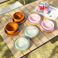 Nouveau design, bol d'alimentation pour animaux de compagnie avec logo personnalisé, 2-en-1 pliable en silicone, mangeoire à eau et à nourriture pour animaux de compagnie, pour les sorties en plein air