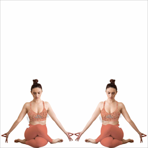 Ensembles de yoga pour femmes fabriqués au Pakistan à prix abordable, services OEM, ensembles de yoga pour femmes de haute qualité - Product Image 3