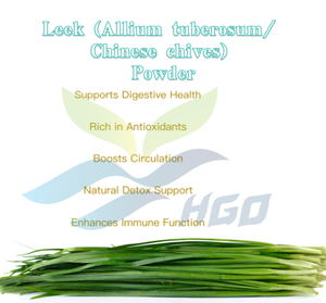 HGO Suministro Directo de Fábrica Polvo Puro Natural de Puerro/Allium tuberosum/Ajo Verde Chino (Grado Alimenticio) Polvo Vegetal Liofilizado - Product Image 5