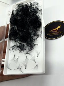 Venta al por mayor volumen bandejas de extensión de pestañas 0,03 0,05 0,07 0,10 C CC D DD Curl Mega volumen extensión de pestañas hecha de material PBT - Product Image 6