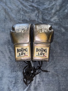 No Boxing No Life Boxing <b>Gloves</b> Professional Competition Pro Training Sparring <b>Gloves</b> Latest Model Kickboxing <b>Gloves</b> - Product Image 5