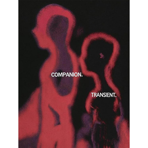 T-shirts graphiques surdimensionnés pour hommes, col rond, manches courtes, style streetwear vintage - Product Image 3