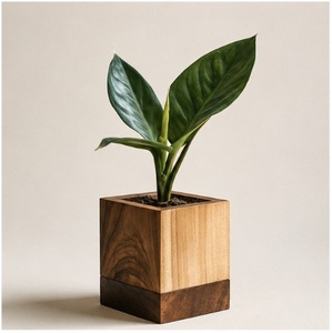 Modern Minimalist Dual-Tone Wooden Cube Planter Handcrafted Walnut & Pine Wood Flower <b>Pot</b> for Office Desk Succulent <b>Holder</b> - Product Image 3