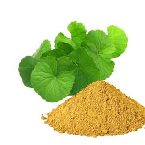 <b>Best</b> Price Factory Wholesale Supply Natural 50% Bacopa Monnieri Extract Powder - Product Image 1