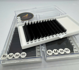 Extensions de cils en éventail pré-fabriquées faites à la main en gros, plateau individuel 5D 6D 7D 8D 9D 10D 12D, PBT coréen - Product Image 5