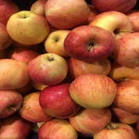 Verse Golden Delicious Appels, Pome-fruit, gewone kweekvariëteit, rode kleur, beste kwaliteit, 100% natuurlijk, 90% inhoud.