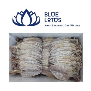 Calamars séchés de haute qualité, durables, propres et purs, produits de la mer transformés, idéaux pour les soupes et les entrées, en vrac - Product Image 1