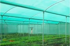 ผ้าใบกันสภาพอากาศสำหรับสวนปลูกพืช HDPE - Product Image 4