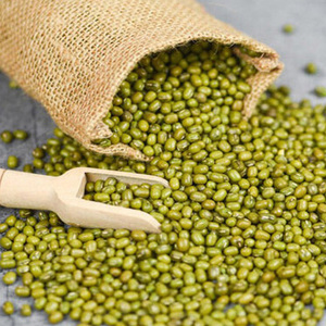 Haricots Mungo Verts de Haute Qualité en Gros - Product Image 6