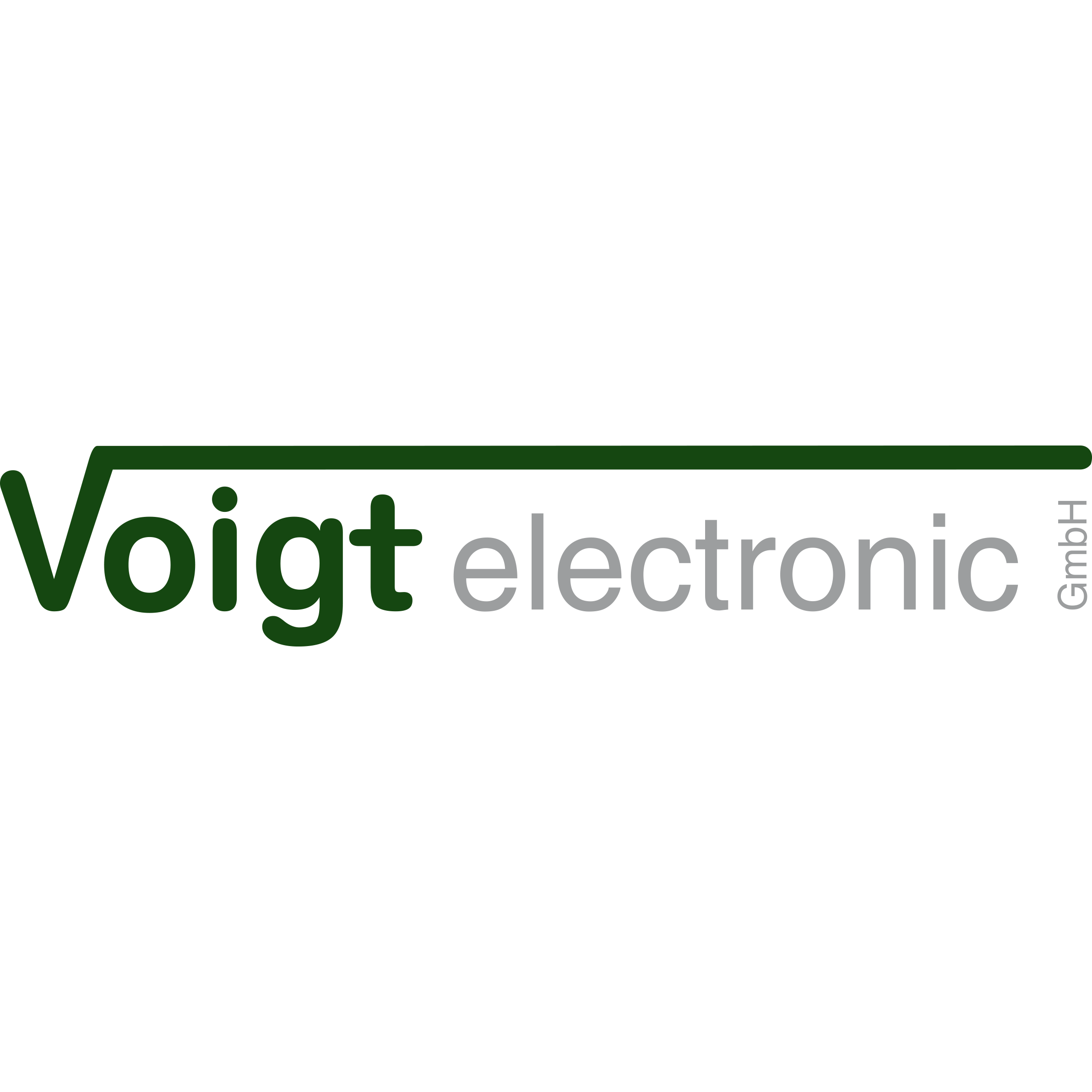 Voigt electronic GmbH logo