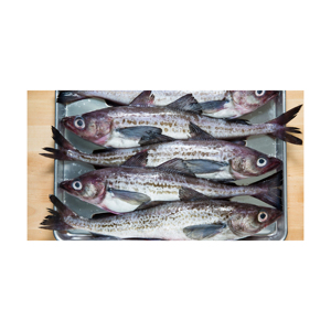 Pescado Pollock de Alaska Fresco de Alta Calidad, Mariscos Cuidadosamente Seleccionados para Cocina Casera y Cocinas Profesionales - Product Image 1
