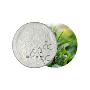 Polvo de extracto de té con alto poder antioxidante 98% para nutracéuticos - Product Image 6