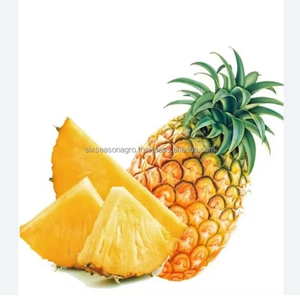 Piña Fresca Premium de Calidad de Exportación, Piña Dulce Fresca de Granja, Proveedor Mayorista a Granel de Bangladesh, Six Season Agro - Product Image 5