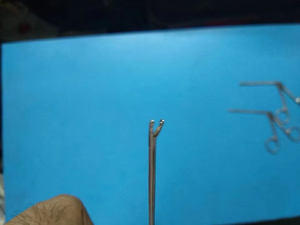 Pinzas de Biopsia Nasales y Auriculares de Acero Inoxidable Premium, Reutilizables, Quirúrgicas, Médicas, con Certificación CE e ISO, Instrumentos Profesionales para Hospitales - Product Image 6