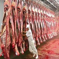 Karkas Daging Sapi Beku Untuk Pengolahan Daging Grosir Dan Pasokan Komersial Terpercaya Dengan Harga Pasar Yang Kompetitif