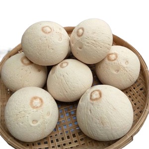 EXPORT STANDARD PREMIUM ENTIER FRAIS PÉLÉ JEUNE NOIX DE COCO 750g 800g Boisson tropicale naturelle saine de qualité vietnamienne - Product Image 1