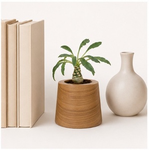 Macetero Artesanal de Madera de Teca Ecológico, Minimalista, para Interiores/Exteriores, Decoración de Jardín y Hogar, Macetero de Madera Sólida para Escritorio - Product Image 4