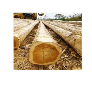 Bois d'Okoumé de haute qualité en vrac pour les marchés de gros, la fabrication de meubles, les revêtements de sol, la construction et l'exportation - Product Image 5