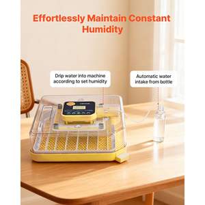 Incubateur automatique pour volailles à 48 œufs, avec candélabre LED, affichage de la température, contrôle de l'humidité, fenêtre transparente à 360 degrés pour l'éclosion des poussins - Product Image 3