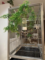 Cage à oiseaux en aluminium léger et personnalisé grande avec arbre artificiel et caméra intégrée Volière de qualité supérieure avec accessoires pour mangeoire