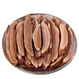 Champignons reishi séchés en tranches fournisseur vietnamien pack dans un sac PA - Product Image 1
